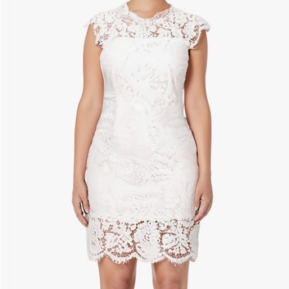 White Sheath Lace Dress with Flutter Cap Sleeves - Picture 3 of 10